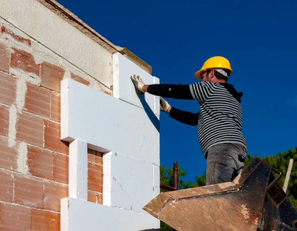 Best Professional Insulation Contractor  in Lochmoor Waterway Estates, FL