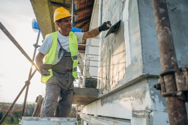 Best Insulation Replacement Services  in Lochmoor Waterway Estates, FL