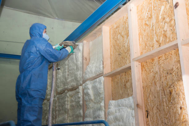 Best Attic Insulation Installation  in Lochmoor Waterway Estates, FL